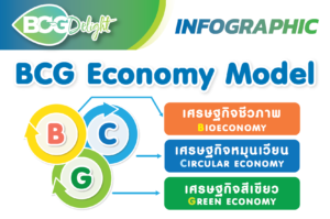 BCG Economy Model